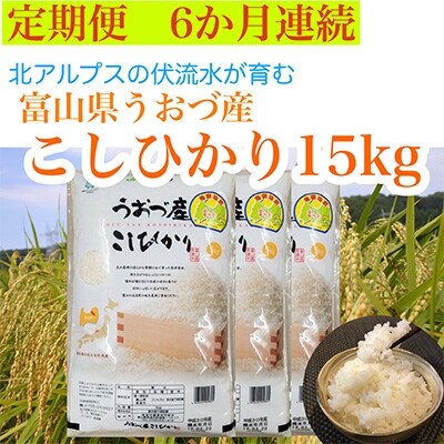 2022年4月発送開始『定期便』富山県うおづ産コシヒカリ15kg(5kg×3袋)×全6回