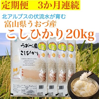 2022年4月発送開始『定期便』富山県うおづ産コシヒカリ20kg(5kg×4袋)×全3回