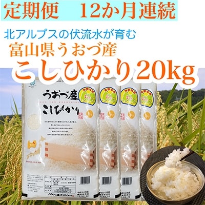 2022年9月発送開始『定期便』富山県うおづ産コシヒカリ20kg(5kg×4袋)×全12回