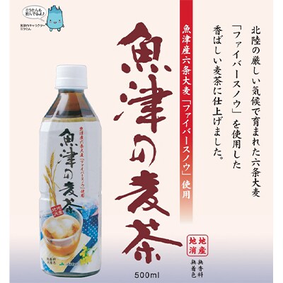 2023年10月発送開始『定期便』魚津の麦茶(500ml×24本)×全12回