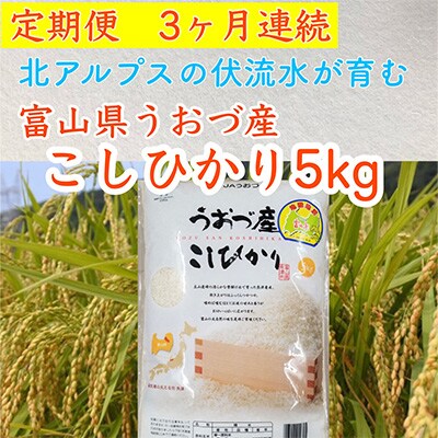 2023年11月発送開始『定期便』富山県うおづ産コシヒカリ5kg×全3回