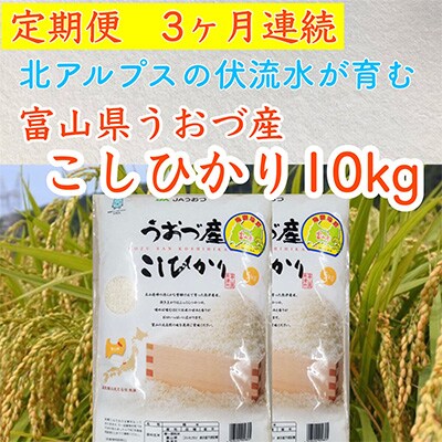 2023年3月発送開始『定期便』富山県うおづ産コシヒカリ10 kg(5kg×2袋)×全3回