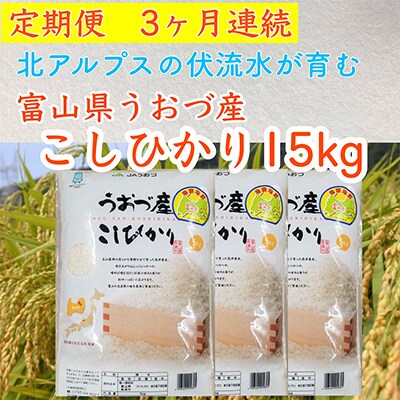 2023年4月発送開始『定期便』富山県うおづ産コシヒカリ15kg(5kg×3袋)×全3回