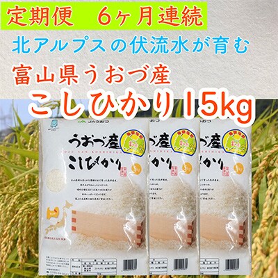 2023年8月発送開始『定期便』富山県うおづ産コシヒカリ15kg(5kg×3袋)×全6回