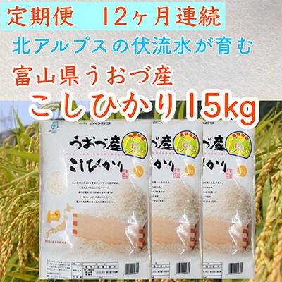 2023年7月発送開始『定期便』富山県うおづ産コシヒカリ15kg(5kg×3袋)×全12回