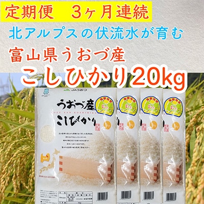 2023年7月発送開始『定期便』富山県うおづ産コシヒカリ20kg(5kg×4袋)×全3回