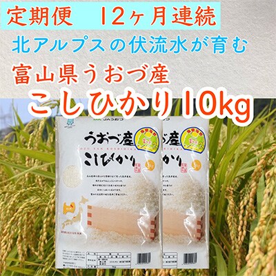 2023年2月発送開始『定期便』富山県うおづ産コシヒカリ10kg(5kg×2袋)×全12回
