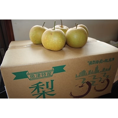 旬の梨(あきづき)　約5kg
