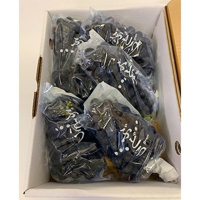 旬のぶどう(巨峰)2kg