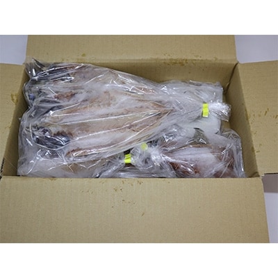 おまかせ訳あり干物セット　5種以上　約2kg