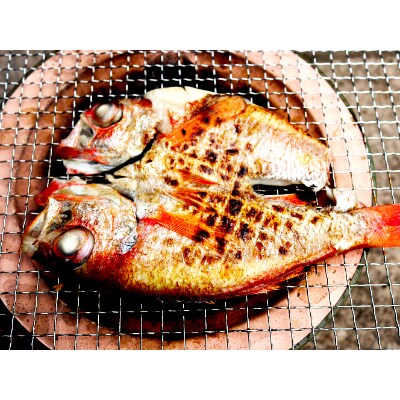 【訳あり】富山湾産　のどぐろ開き　計1kg