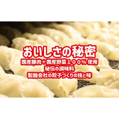 石川製麺のジャンボ餃子5粒入りタレ付10個セット
