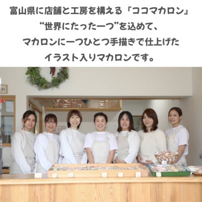 ハロウィンマカロン20個セット　手描きのイラスト&どうぶつのマカロン