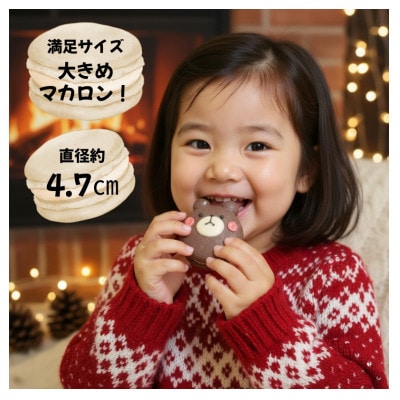 クリスマスマカロン20個セット　手描きのイラスト&どうぶつのマカロン