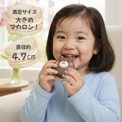 ブタちゃん好きにはたまらない!メッセージ入りマカロン9個セット