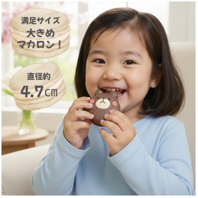 【冷凍便】手描きイラスト入りマカロン　20個セット　ご褒美スイーツや贈り物に