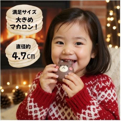 【冷凍便】クリスマスマカロン20個セット　手描きのイラスト&どうぶつのマカロン