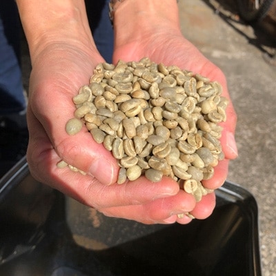 【豆】グアテマラ　サンタバーバラ:500g(自家焙煎コーヒーとみかわ)
