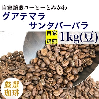 【豆】グアテマラ　サンタバーバラ:1kg(自家焙煎コーヒーとみかわ)