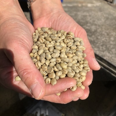 【粉】サントスピーベリー:500g(自家焙煎コーヒーとみかわ)