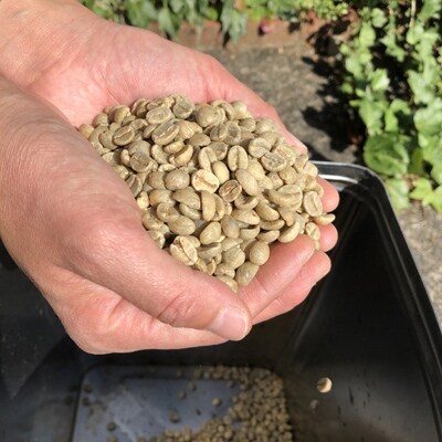 【粉】マサマキリマンジャロKIBO:500g(自家焙煎コーヒーとみかわ)