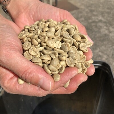 【粉】コロンビアアンジェリカ:1kg(自家焙煎コーヒーとみかわ)
