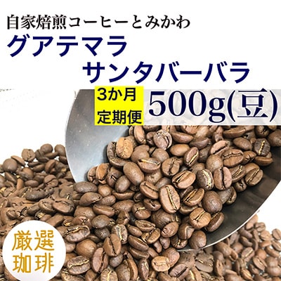 2023年7月発送開始『定期便』自家焙煎「グアテマラサンタバーバラ」500g(豆)全3回