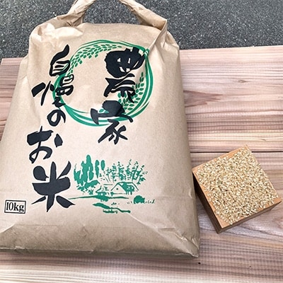 【玄米】富山県魚津産コシヒカリ10kg(こだわり栽培)