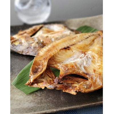 【創業130年】魚卸問屋はりたやがお届けする富山湾の海の幸セット《蜃気楼》