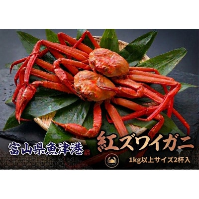 自社漁船直送!魚卸問屋のベニズワイガニ1kg以上×2杯