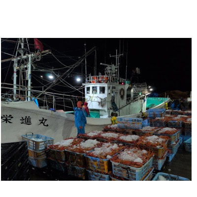 自社漁船直送!魚卸問屋のベニズワイガニ1kg以上×2杯