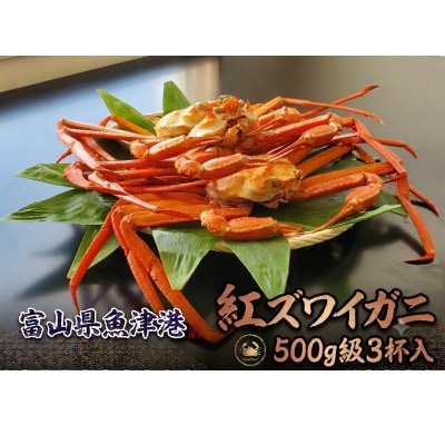 自社漁船直送!魚卸問屋のベニズワイガニ500g級×3杯