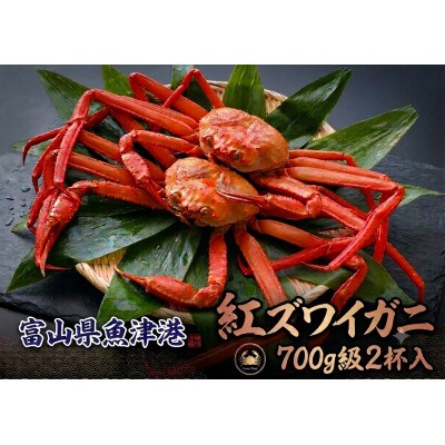 自社漁船直送!魚卸問屋のベニズワイガニ700g級×2杯