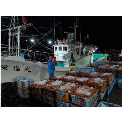 自社漁船直送!魚卸問屋のベニズワイガニ700g級×2杯
