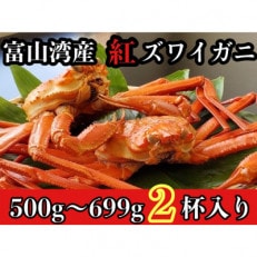 魚卸問屋のベニズワイガニ500～600g級&times;2杯