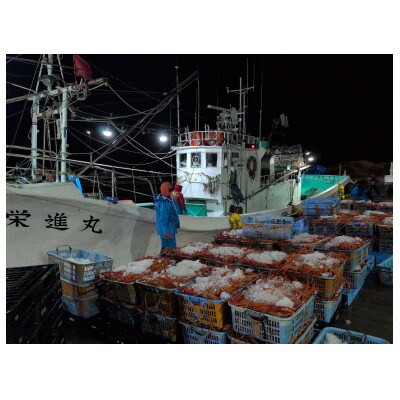 自社漁船直送!魚卸問屋のベニズワイガニ500g級×2杯