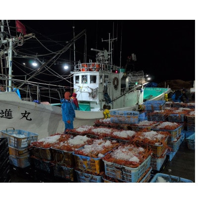 【訳あり】自社漁船直送!魚卸問屋のベニズワイガニ 3kg