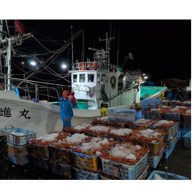 【訳あり】自社漁船直送!魚卸問屋のベニズワイガニ 2kg