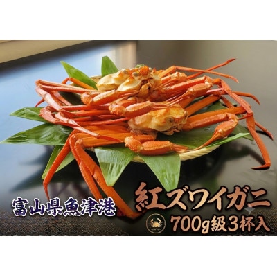 自社漁船直送!魚卸問屋のベニズワイガニ700g級×3杯
