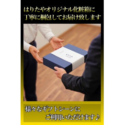 【急速冷凍品】魚卸問屋はりたやの個包装鱒寿司　プレーン6個炙り3個入