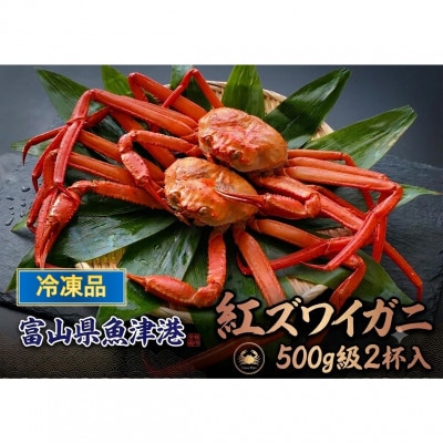 【冷凍品】	自社漁船直送!魚卸問屋のベニズワイガニ　500g級×2杯