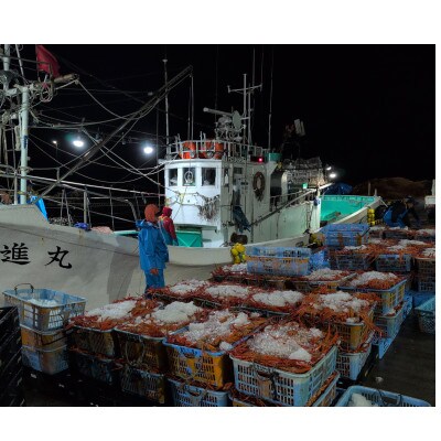 【冷凍訳あり品】自社漁船直送!魚卸問屋のベニズワイガニ　2kg