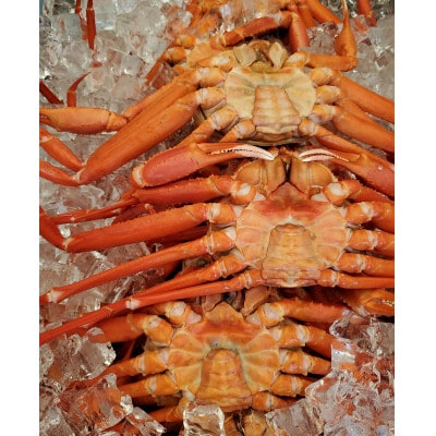 【冷凍訳あり品】魚卸問屋のベニズワイガニ　2kg
