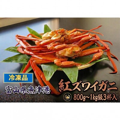 【冷凍品】	自社漁船直送!魚卸問屋のベニズワイガニ　800g～1kg級×3杯