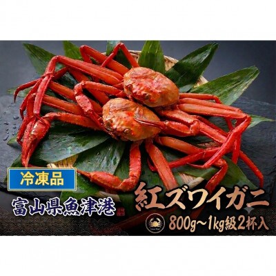 【冷凍品】	自社漁船直送!魚卸問屋のベニズワイガニ　800g～1kg級×2杯