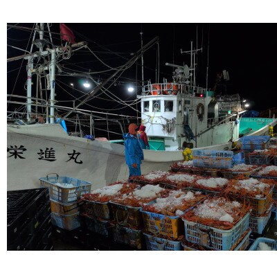 【冷凍品】	自社漁船直送!魚卸問屋のベニズワイガニ　800g～1kg級×2杯