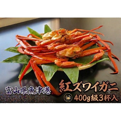 自社漁船直送!魚卸問屋のベニズワイガニ400g級×3杯