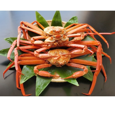 自社漁船直送!魚卸問屋のベニズワイガニ600g級×3杯