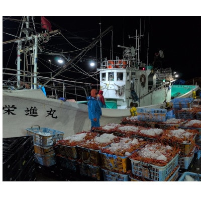 自社漁船直送!魚卸問屋のベニズワイガニ600g級×3杯