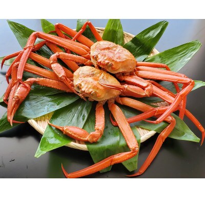 自社漁船直送!魚卸問屋のベニズワイガニ800g～1kg級×2杯